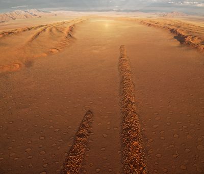Fred Kurtz, 2017 Namibia, Botswana, and Zambia Photography Tour, photograph 4