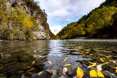 Fred Kurtz, 2018 New Zealand Ultimate Autumn Foliage Photography Tour I, photograph 3
