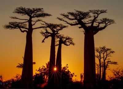 Fred Kurtz, 2018 Ultimate Madagascar Photography Tour, photograph 1