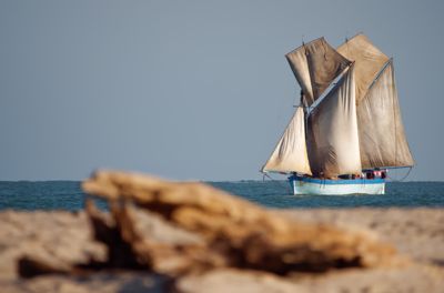 Fred Kurtz, 2018 Ultimate Madagascar Photography Tour, photograph 2
