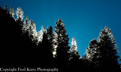 Fred Kurtz, 2008 Winter in Yellowstone Photography Tour II, photograph 2