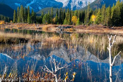 Fred Kurtz, 2010 Canadian Rockies Fall Photo Tour, photograph 1