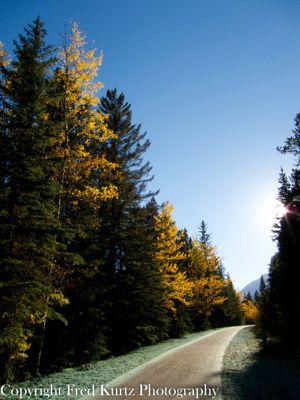 Fred Kurtz, 2010 Canadian Rockies Fall Photo Tour, photograph 2