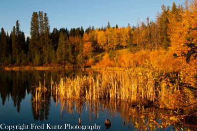 Fred Kurtz, 2010 Canadian Rockies Fall Photo Tour, photograph 4