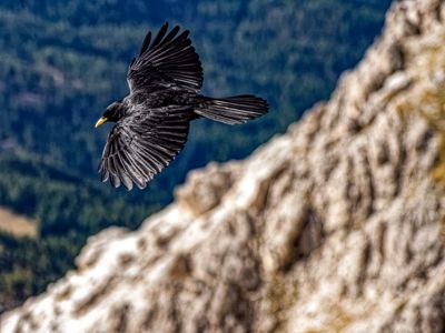Fred Kurtz, 2019 Venice & Dolomites Landscape Photography Tour, photograph 1