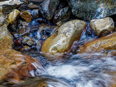 Fred Kurtz, 2022 Canadian Rockies Fall Photography Tour II, photograph 2