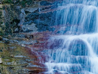 Fred Kurtz, 2022 Canadian Rockies Fall Photography Tour II, photograph 4