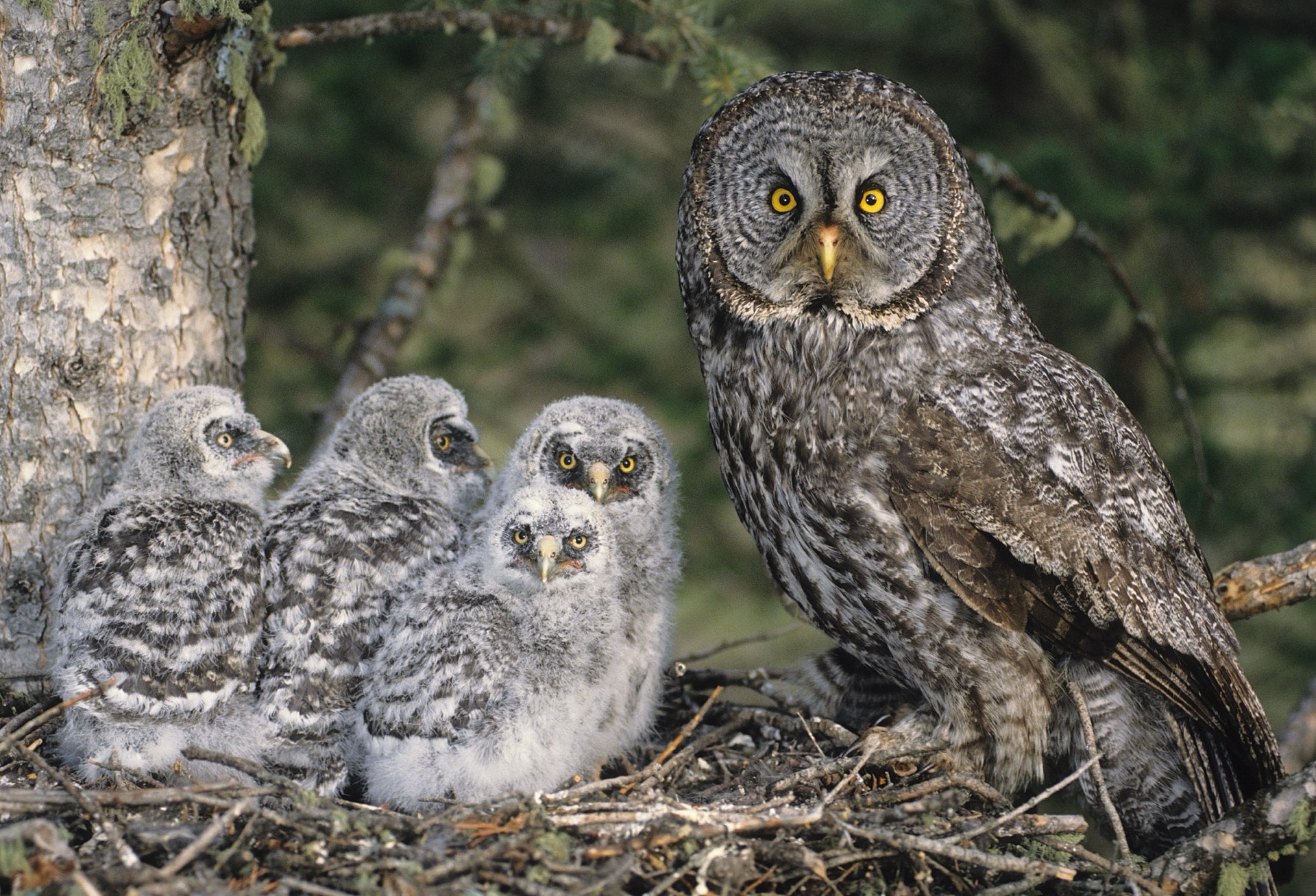 Daniel’s Arctic & Antarctic Photography Showcased