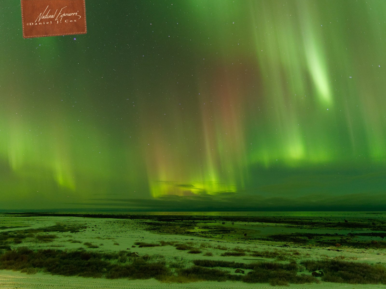 Auroras Over Hudson Bay Natural Note