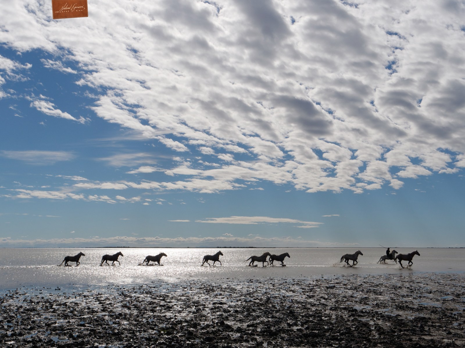 Camargue Spirit Natural Note