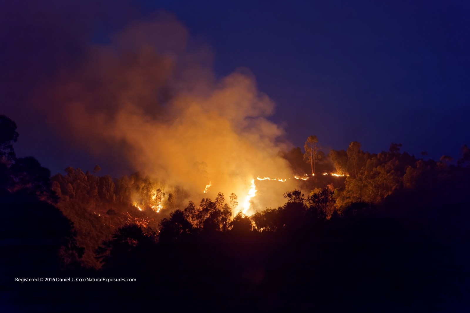 Madagascar Burning Natural Note