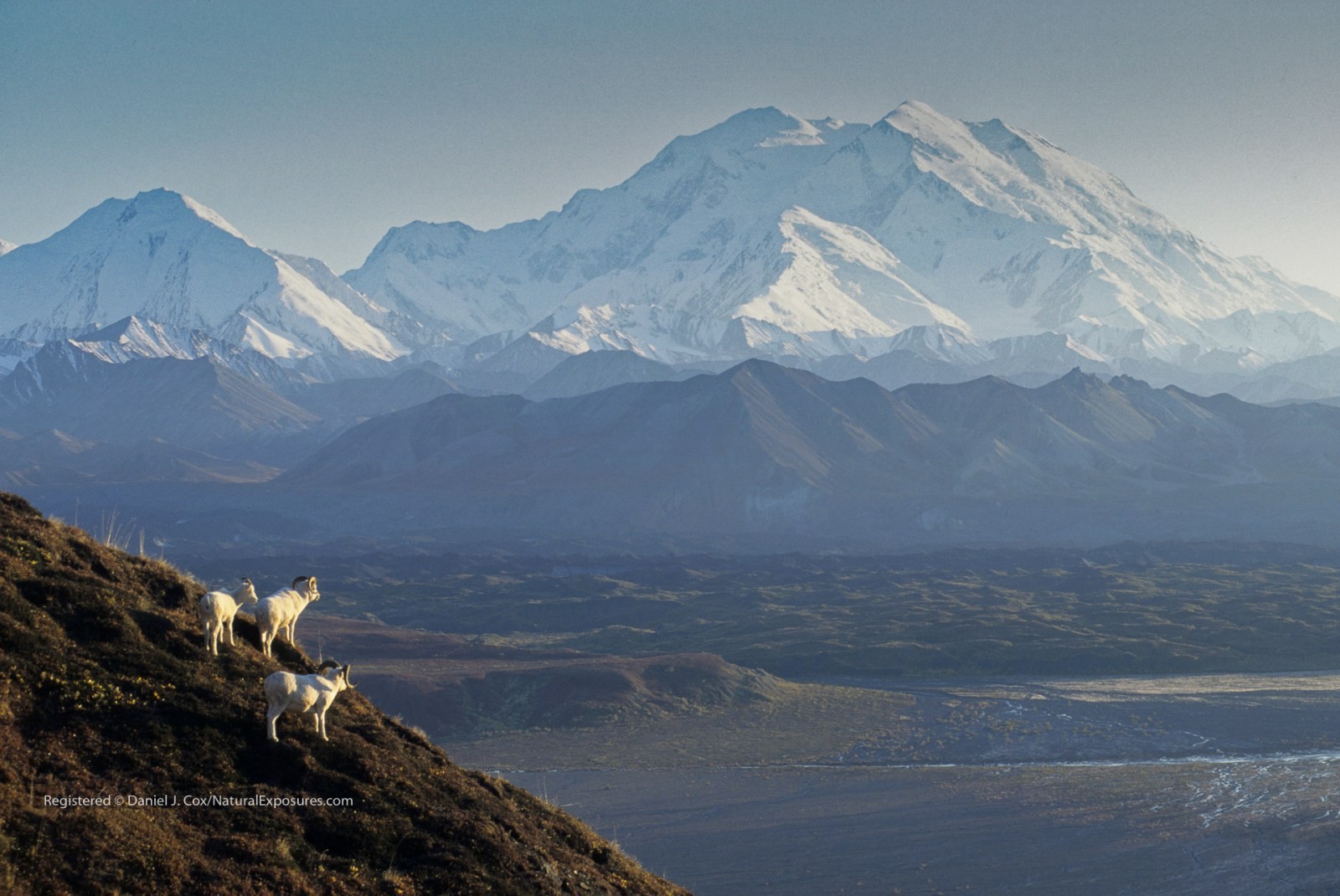 Mount McKinley Natural Note