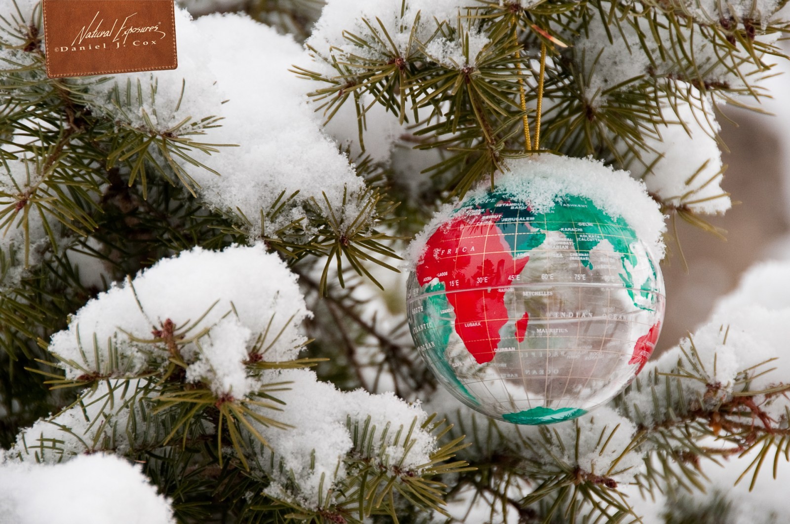 Peace on Earth Natural Note