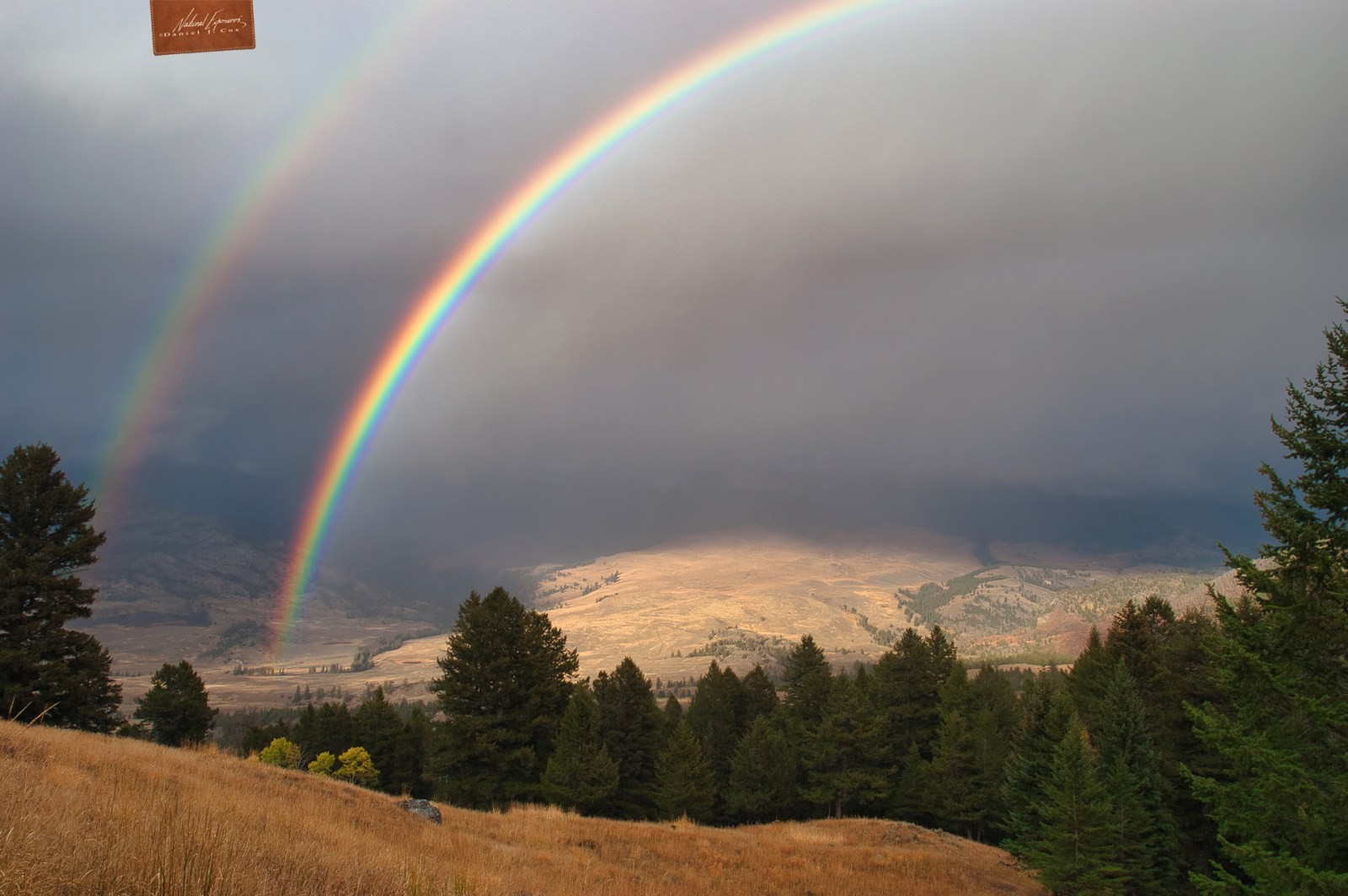 Pot of Gold at the End of the Rainbow Natural Note