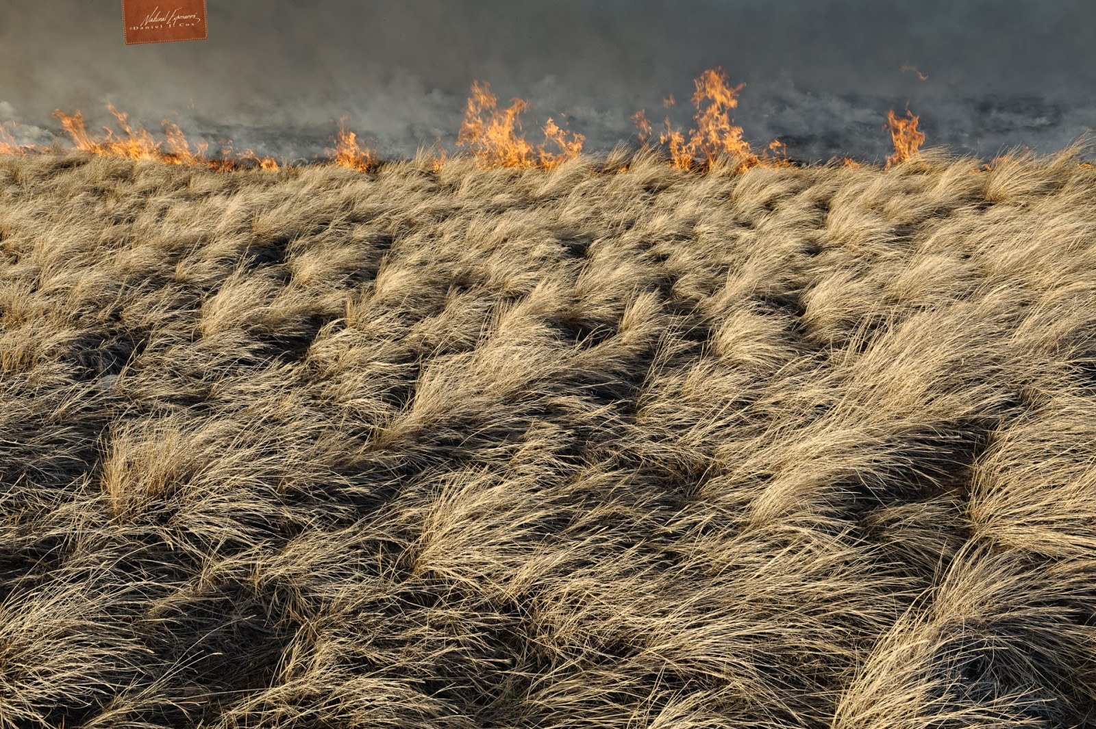 Prairie Fire Natural Note