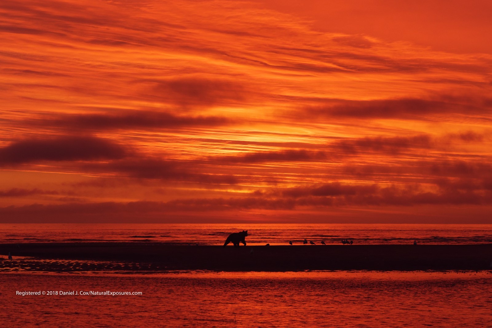 Skies on Fire Natural Note