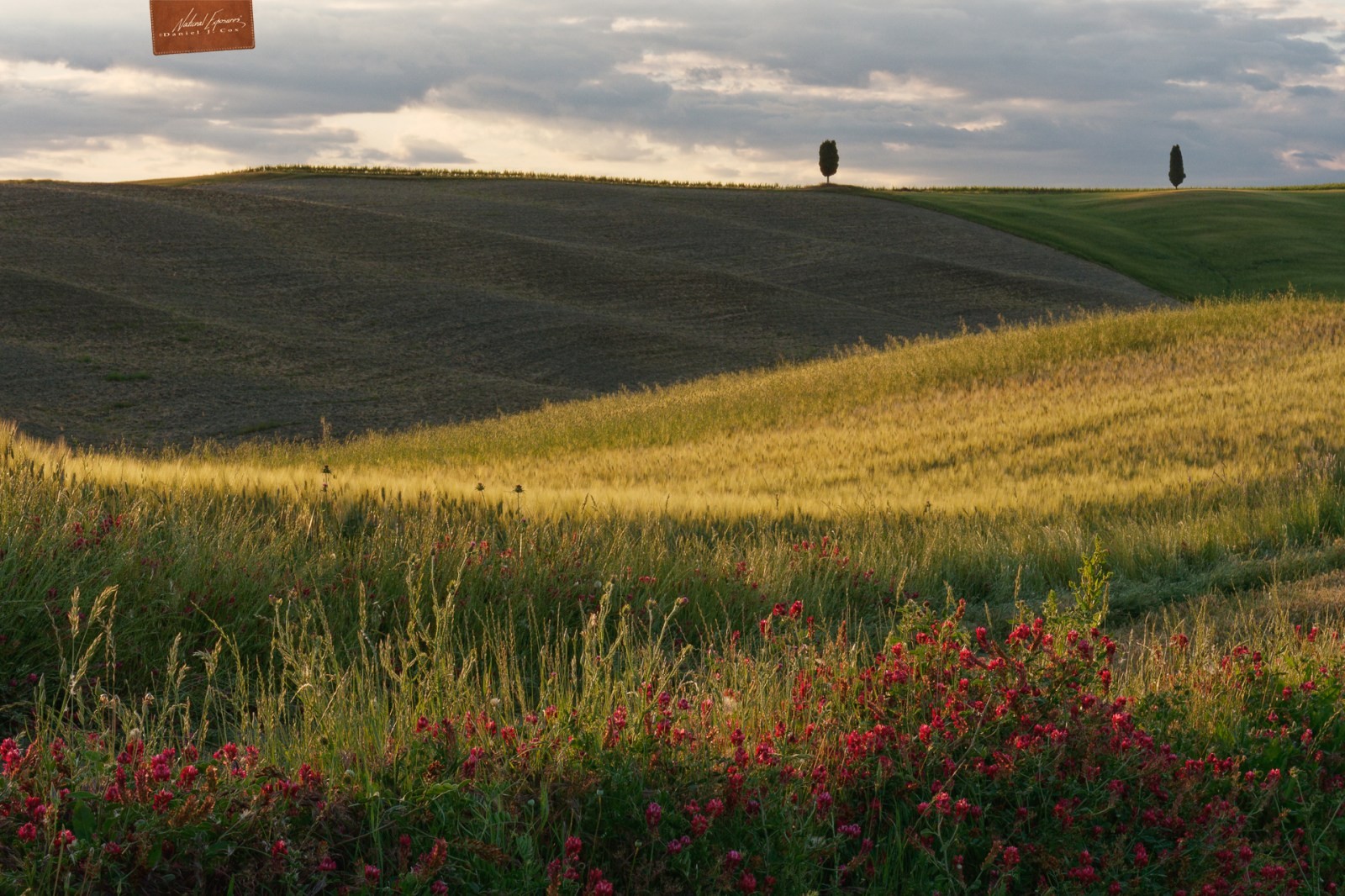 Tuscany Hills Natural Note