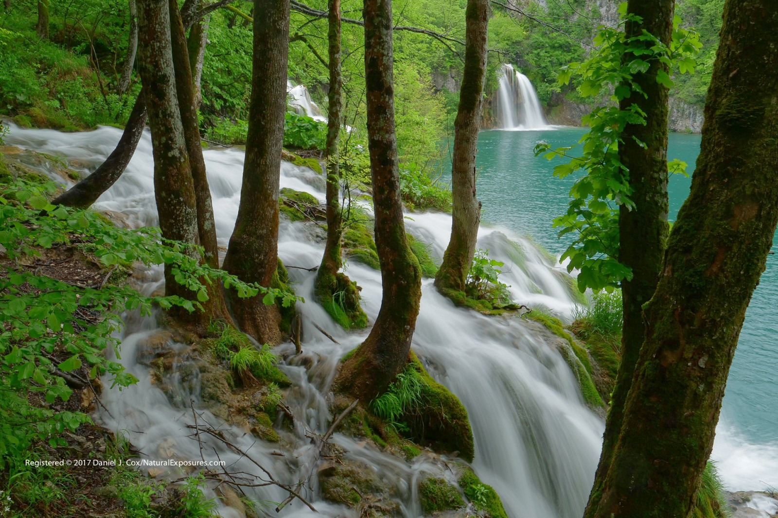 Wondrous Waterfalls Natural Note