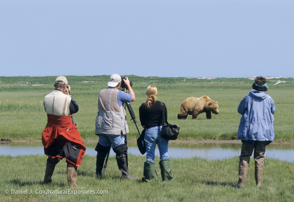 2016 Alaska Brown Bear Boat Photography Tour II photography, photo 1