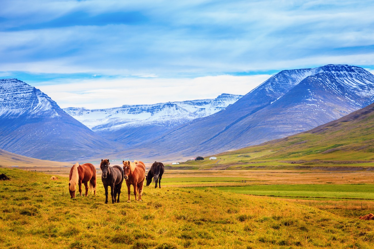 2016 Iceland Landscape Photography Tour II photography