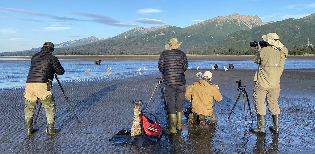 2026 Alaska Brown Bear Photography Tour photography