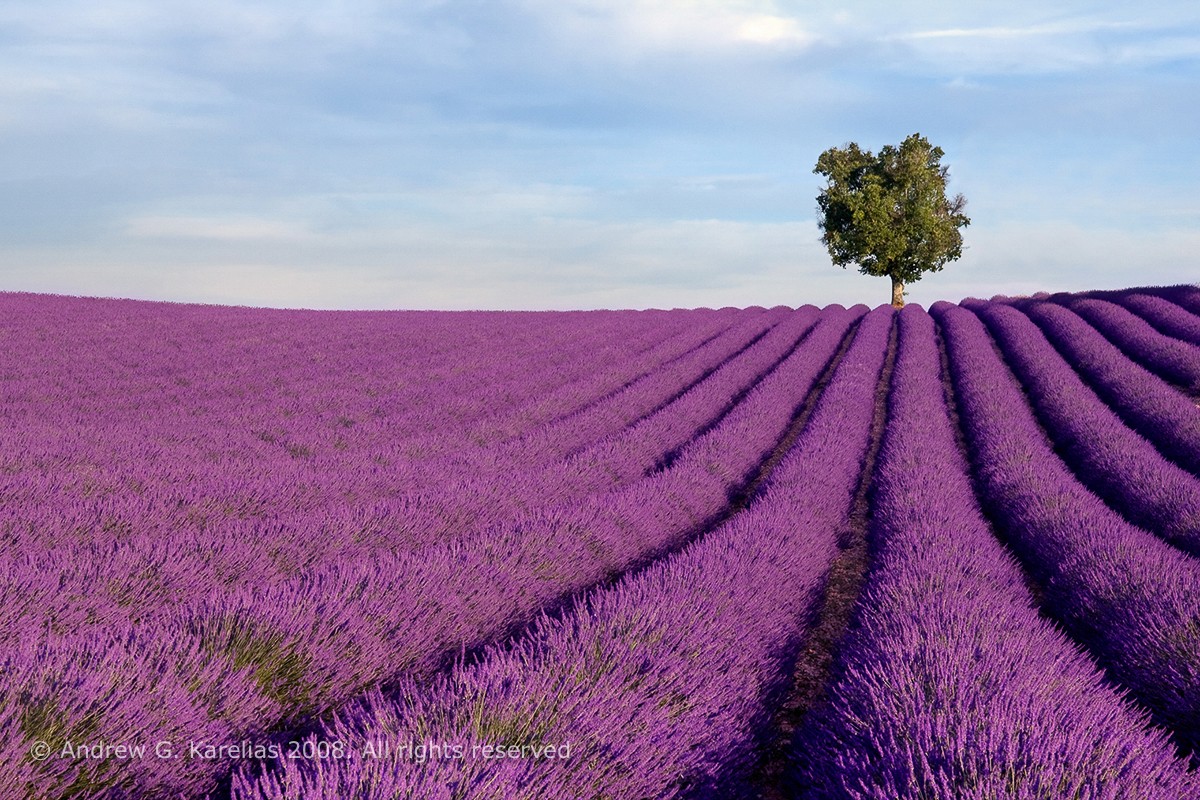 2025 Camargue and Provence France Photography Tour I photography, photo 1