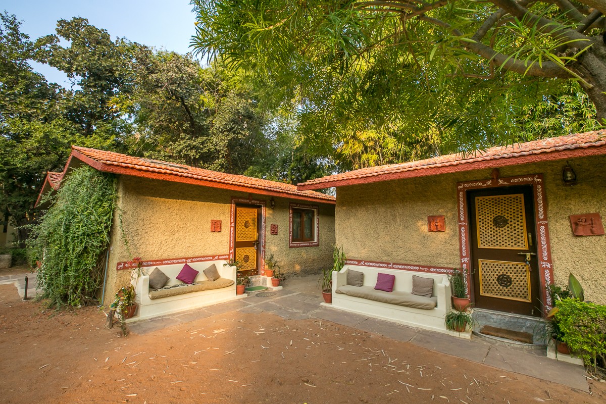 2022 India Tiger Photo Safari photography, photo 1