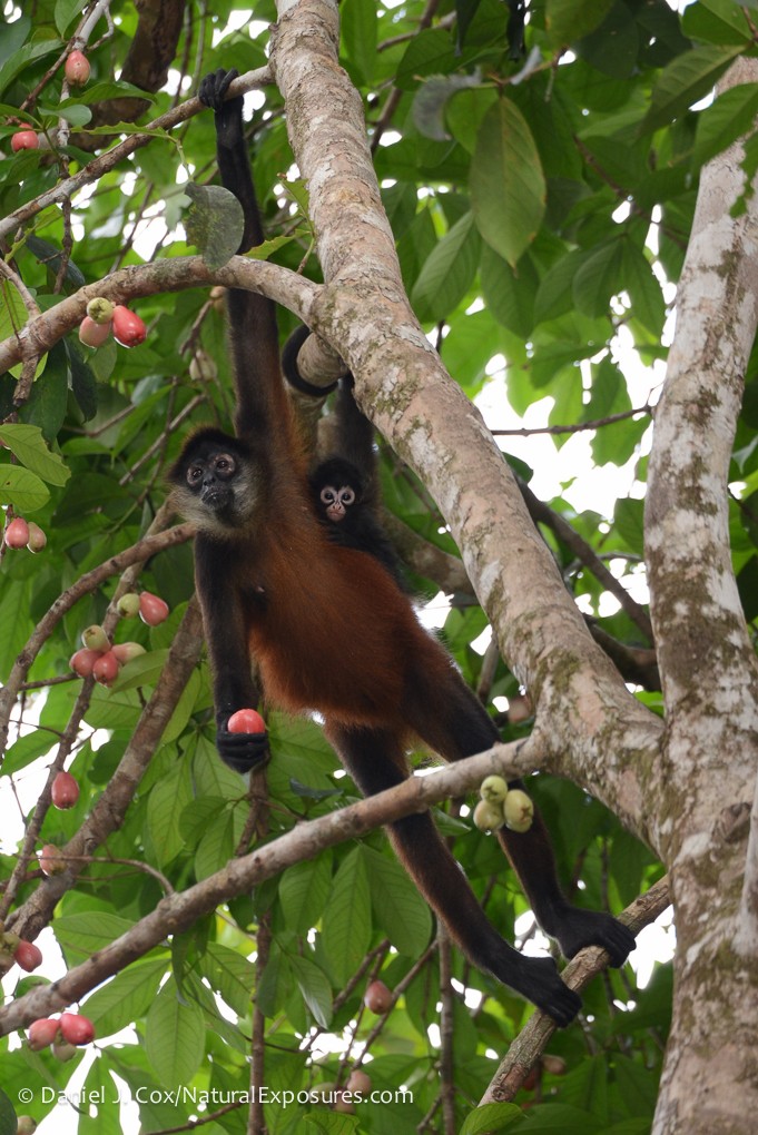 2015 Costa Rica Photography Tour photography, photo 1