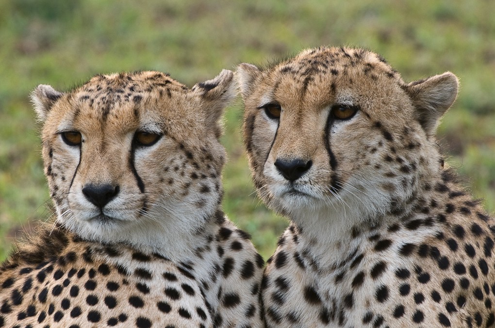 2019 Kenya Photography Tour photography