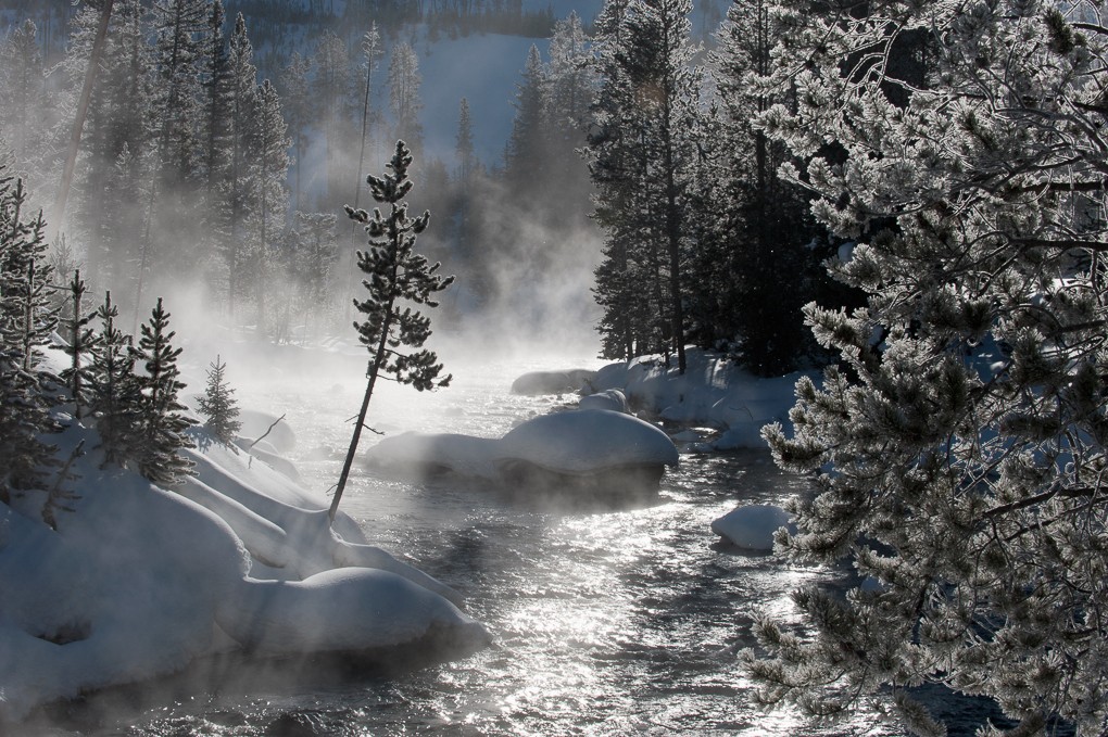 2019 Winter in Yellowstone Photography Tour I photography
