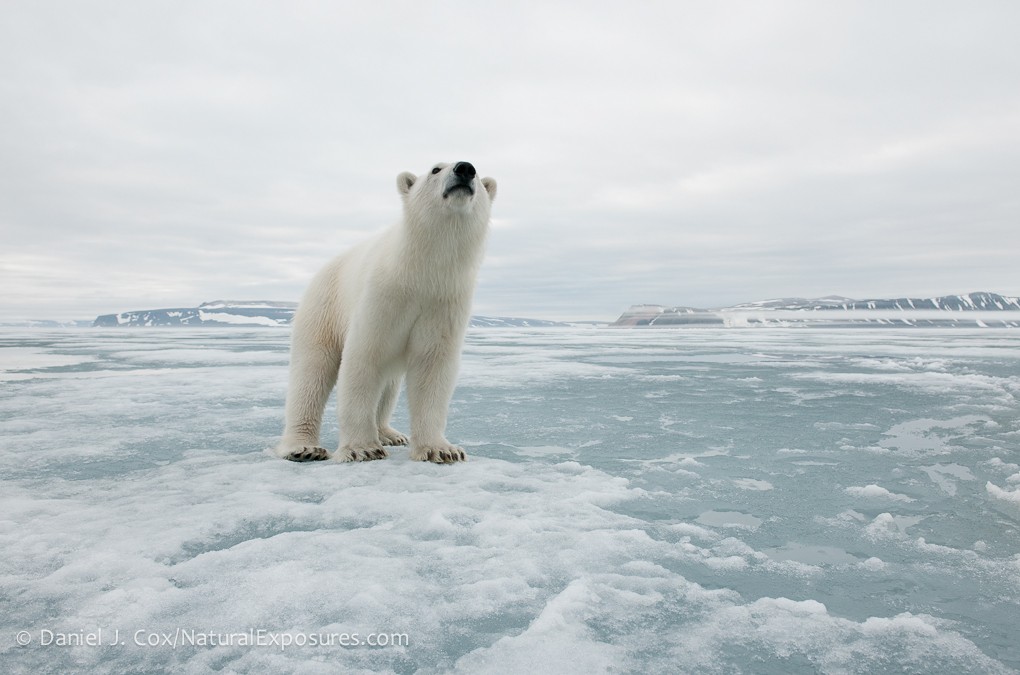 2019 Svalbard Photography Tour I photography, photo 1