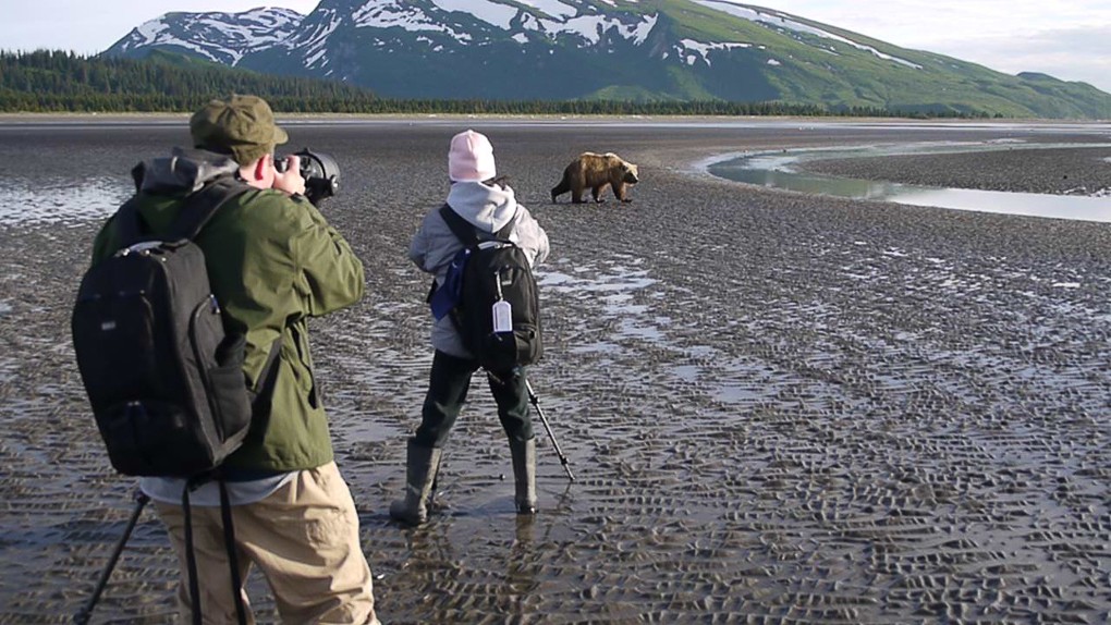 2020 Alaska Brown Bear Photography Tour photography