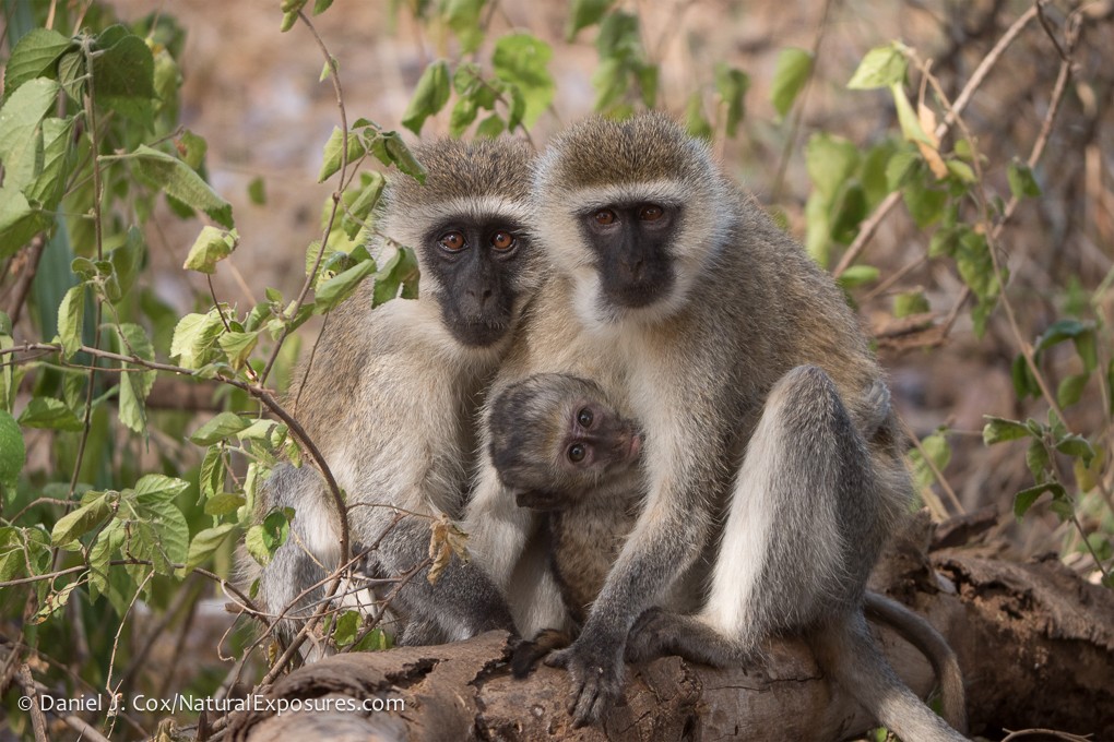 2019 Kenya Photography Tour photography, photo 4