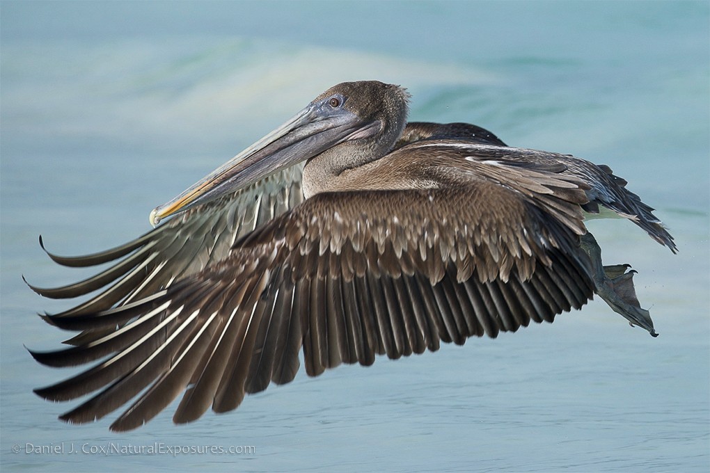 2024 Galápagos Photography Tour by Private Luxury Yacht I photography, photo 1