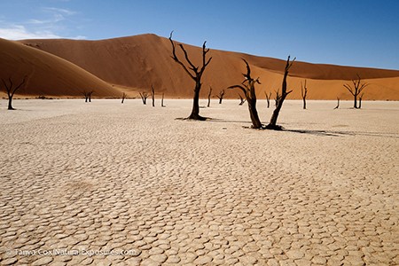 2022 Namibia and Botswana Photography Tour photograph