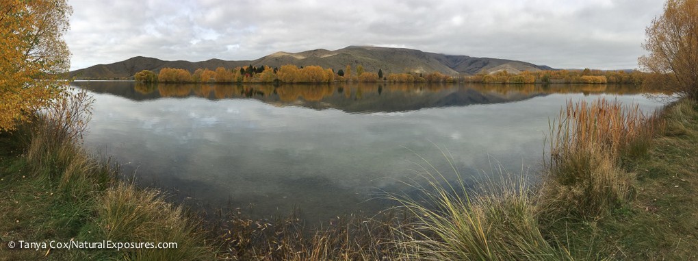 NEW ZEALAND PHOTO TOUR IMG_0125