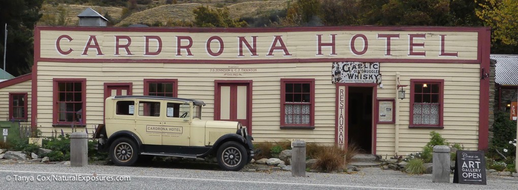 NEW ZEALAND PHOTO TOUR P1110651