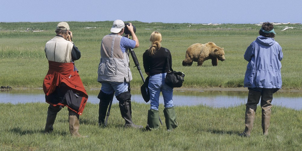 2016 Alaska Brown Bear Boat Photography Tour I photography