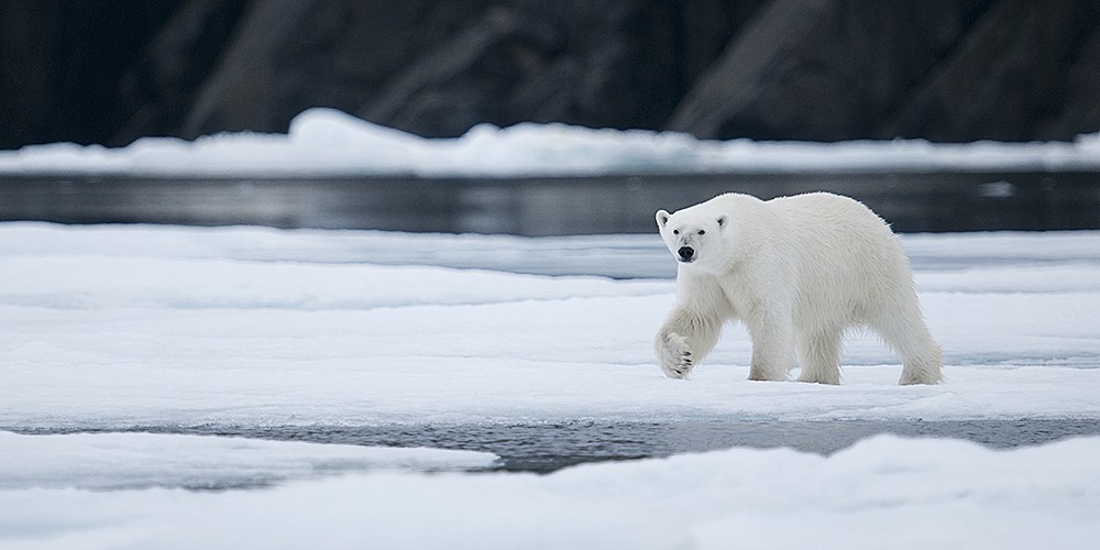 2019 Svalbard Photography Tour I photography
