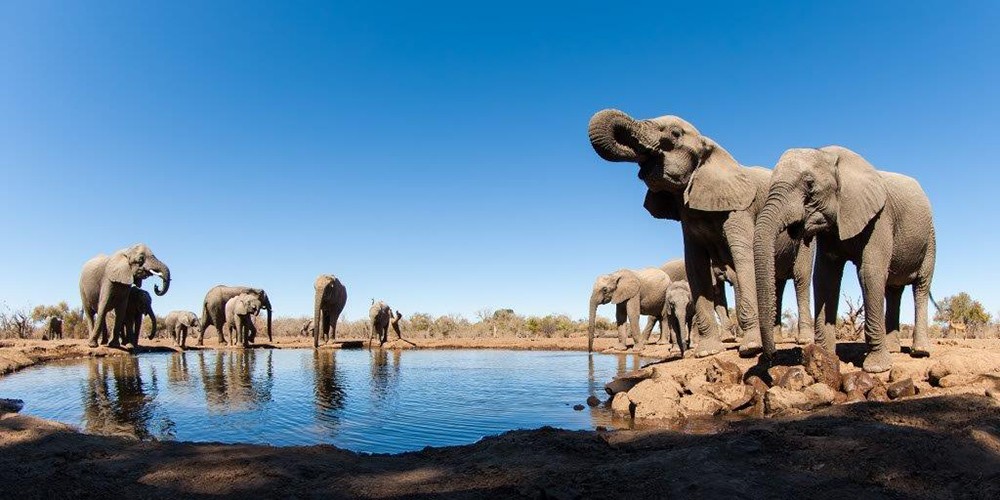 2022 Namibia and Botswana Photography Tour photography