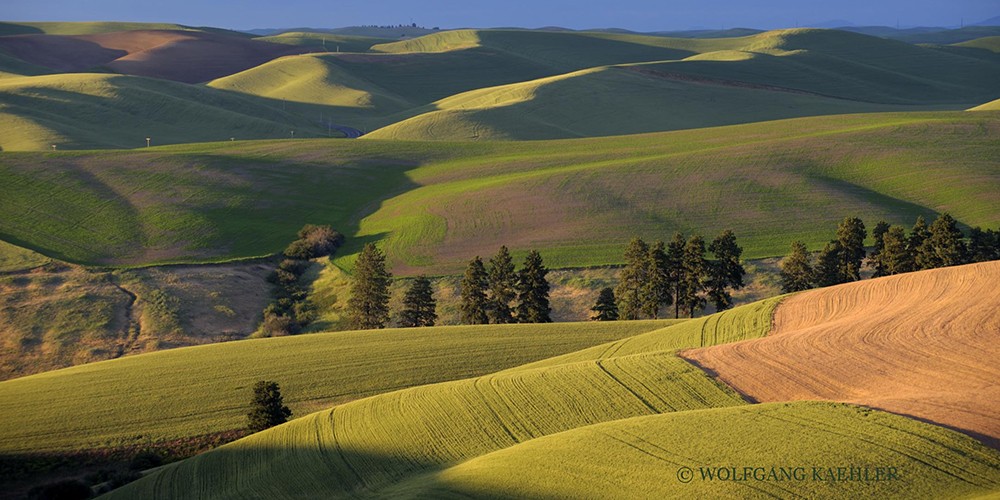 2015 Palouse Landscape Photography Tour photography