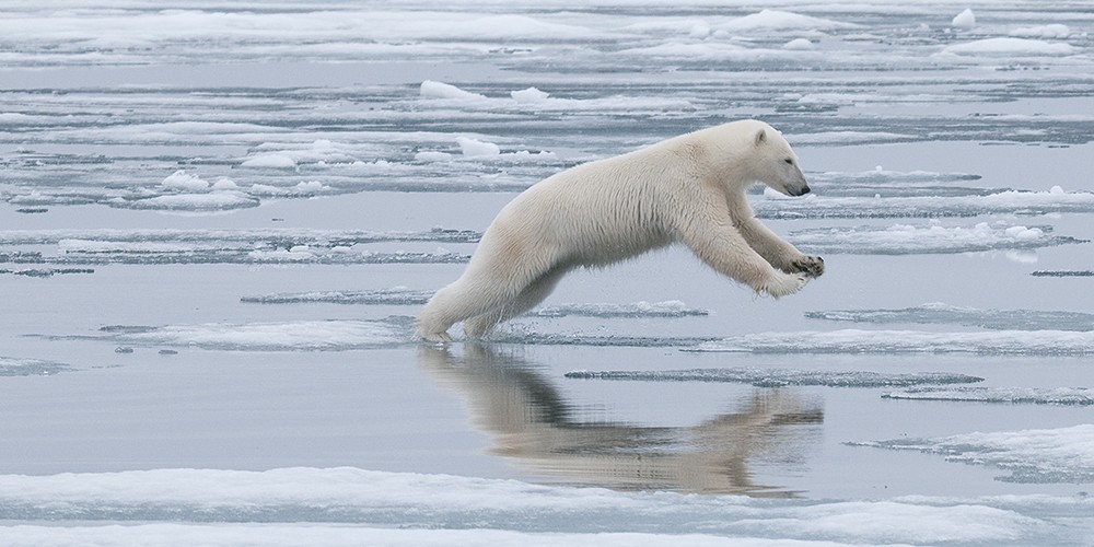 2019 Svalbard Photography Tour II photography