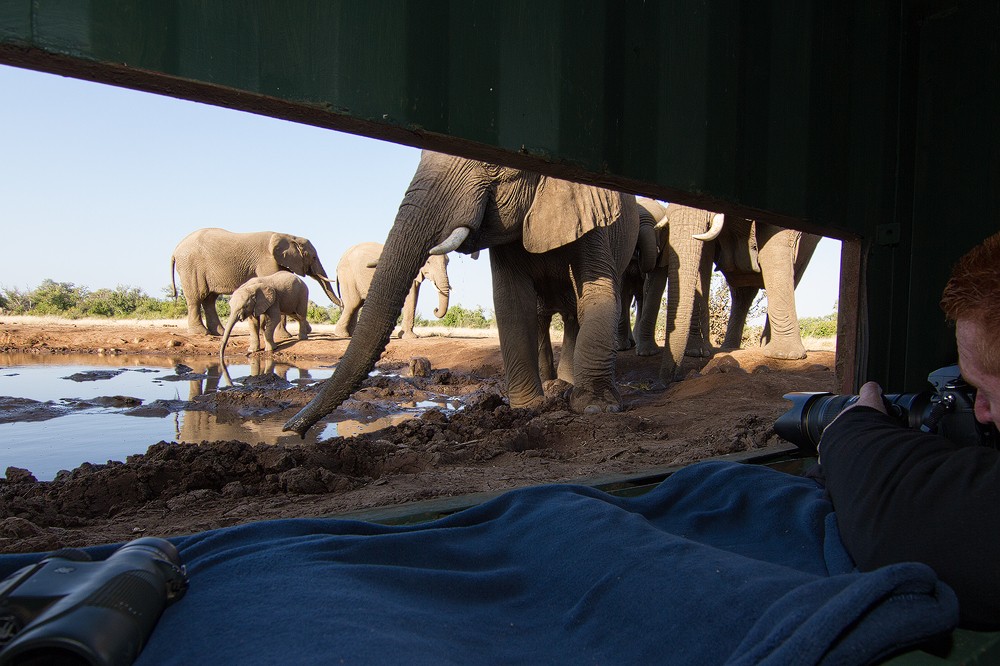 2022 Namibia and Botswana Photography Tour photograph