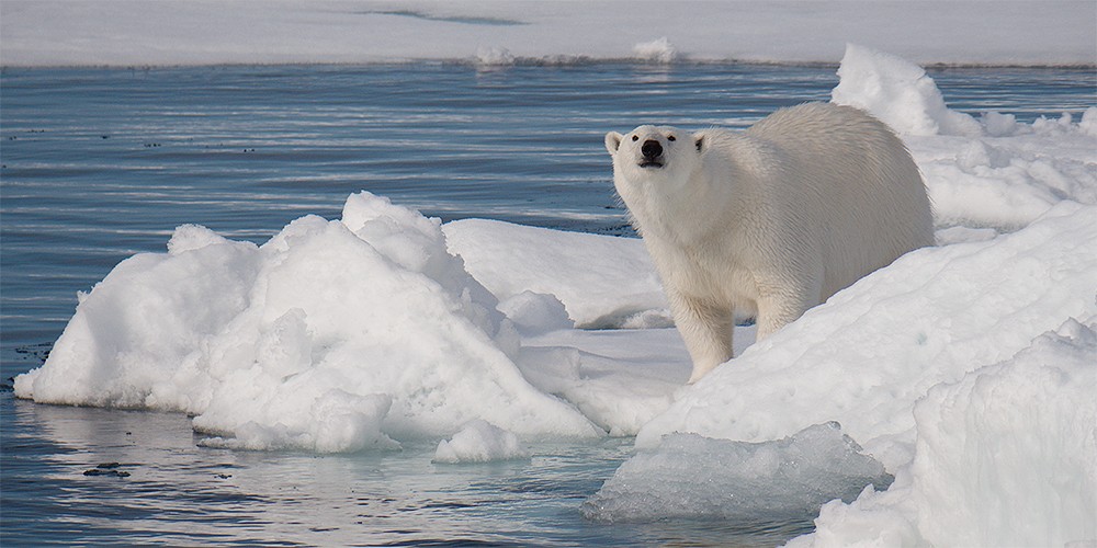 2024 Svalbard Photography Tour photography