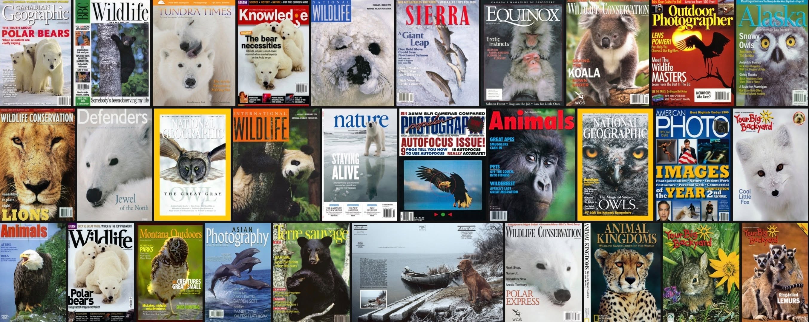A collage of wildlife magazine covers featuring photography by Daniel J. Cox
