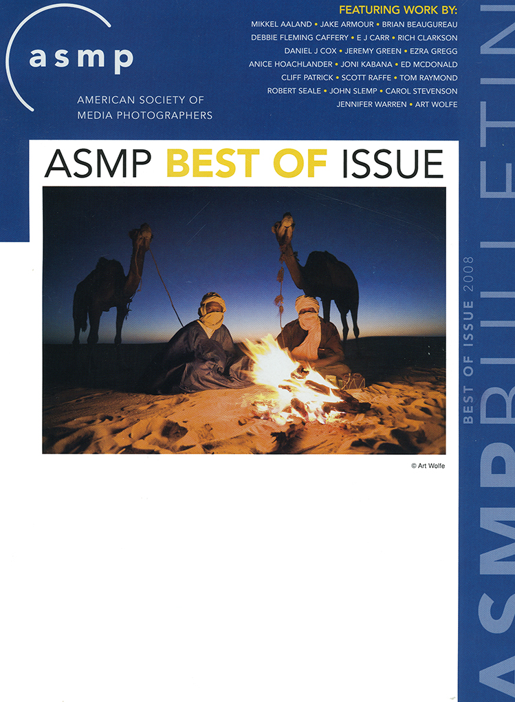 2008 ASMP Best of Issue article preview