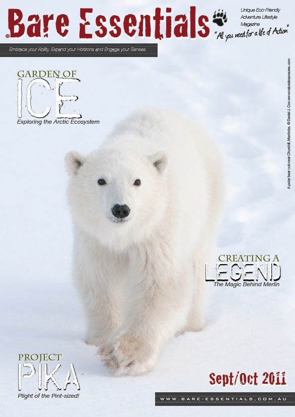 2011 September/October Bare Essentials article preview