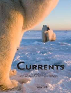 2013 Spring NANPA Currents article preview