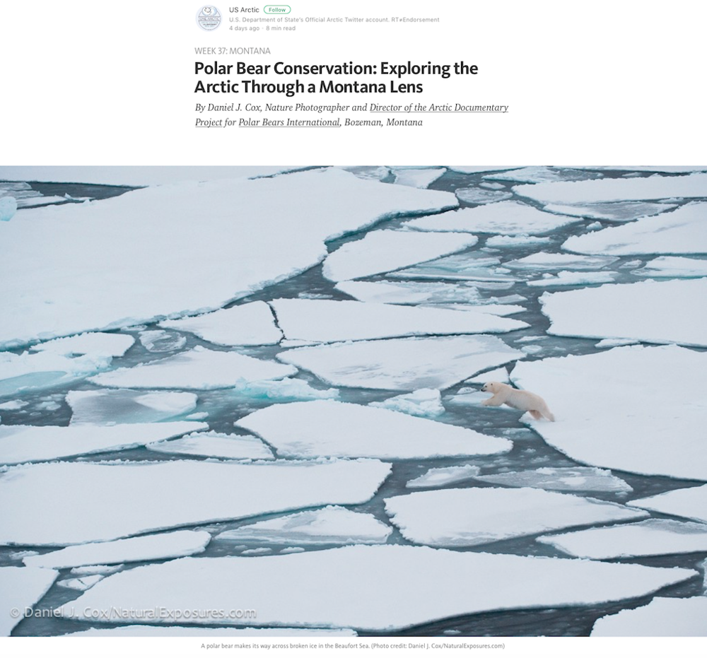 2016 Arctic Nation article preview