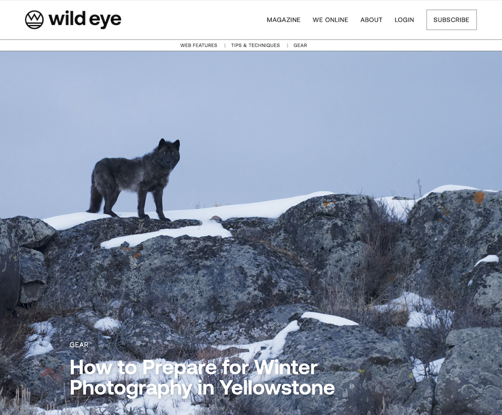 2025 March Wild Eye Magazine article preview